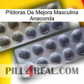 Píldoras De Mejora Masculina Anaconda 31